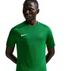Vyriški Nike Dri-Fit Park VIII marškinėliai žali HV8173 302