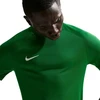Vyriški Nike Dri-Fit Park VIII marškinėliai žali HV8173 302