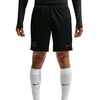 Vyriški „Nike“ Dri-FIT PSG šortai, juodi, II2611 010