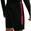 Vyriški „Nike“ Dri-FIT PSG šortai, juodi, II2611 010