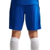 Vyriški „Nike“ Prancūzijos futbolo rinktinės „Dri-Fit FFF Strike“ šortai, mėlyni, IB4609 480