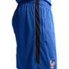 Vyriški „Nike“ Prancūzijos futbolo rinktinės „Dri-Fit FFF Strike“ šortai, mėlyni, IB4609 480