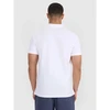 Vyriški polo marškinėliai 4F 4FWSS26TPTSM0988-10S