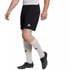 Vyriški šortai Adidas Entrada 22 M H57504