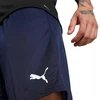 Vyriški šortai Puma Team Goal Tamsiai mėlyna 705752 06 Puma