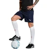 Vyriški šortai Puma Team Goal Tamsiai mėlyna 705752 06 Puma