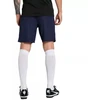 Vyriški šortai Puma Team Goal Tamsiai mėlyna 705752 06 Puma