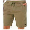 Vyriški šortai Rip Curl Classic Surf, 19 colio, žali