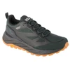 Vyriški žygio batai Jack Wolfskin Terraventure Texapore Low, juodi ir žali