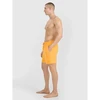 Vyriškos boardshorts 4F 4FWSS25UBDSM134-70S