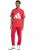 Vyriškos kelnės adidas Essentials Feelcozy, Raudonos, KC0915 adidas