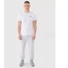 Vyriškos kelnės-jogger 4F 4FWMM00TTROM1139-27M