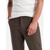 Vyriškos rudos chino kelnės, regular fit