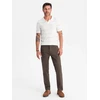 Vyriškos rudos chino kelnės, regular fit