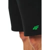Vyriškos sportinės kelnės 4F 4FWSS26TSHOM0999-020S