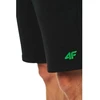 Vyriškos sportinės kelnės 4F 4FWSS26TSHOM0999-020S