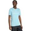Vyrų „adidas“ Argentinos 26 marškinėliai, mėlyni, KH2304