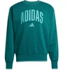 Vyrų adidas Koleginis džemperis Žalias JM1733