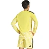 Vyrų adidas Tiro 26 Competition vartininko marškinėliai ilgomis rankovėmis, geltoni, KB5250