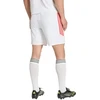 Vyrų adidas Tiro 26 League Match šortai, balti ir raudoni, KR0365