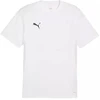 Vyrų Puma TeamGoal marškinėliai, balti, 658636 04