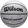 Wilson NBA Žaidėjo "Icon" UV Bskt Giannis Krepšinis WZ4030901XB