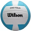 Tinklinio kamuolys Wilson Pro Tour vidinis