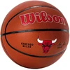 Krepšinio kamuolys training WILSON NBA TEAM Alliance Chicago Bulls sint. oda