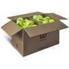 Wilson Triniti Klubas Teniso Kamuolys WR8201501001