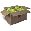 Wilson Triniti Klubas Teniso Kamuolys WR8201501001