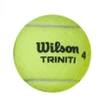 Wilson Triniti Klubas Teniso Kamuolys WR8201501001