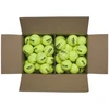 Wilson Triniti Klubas Teniso Kamuolys WR8201501001