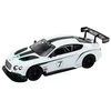 Rastar Nuotoliniu būdu valdomas Bentley Continental GT3 modelis, 1:14, baltas