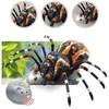 Žaislinis voras tarantulas su nuotoliniu valdymu – džiaugsmui ir kūrybiškiems nuotykiams.
