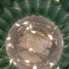 AmeliaHome Žalia LED dekoracija Madrid 11×13 cm
