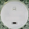AmeliaHome Žalia LED dekoracija Madrid 11×13 cm