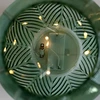 AmeliaHome Žalia LED dekoracija Murcia 16 × 17,5 cm