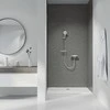 Dušo žarna GROHE Silverflex, 1.75 m