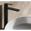 Praustuvo maišytuvas Ravak Life, LF 012.20BL 160 mm, juodas