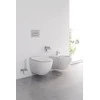 Ravak Unitazo sėdynė Uni Chrome, X01549