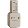 FEHU Bazinis gelis su pluoštu #01 skaidrus stiklas, 12 ml | Fiber Base Gel #01 Transparent Glass 12 ml