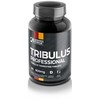 German Forge Tribulus Professional 90 tabl. (Galioja iki: 2025.12.31)