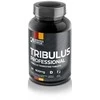 German Forge Tribulus Professional 90 tabl. (Galioja iki: 2025.12.31)