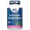 Haya Labs Andrographis Paniculata 60 kaps.