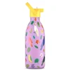 Cool Bottles - Nerūdijančio plieno vaikiškas buteliukas su šiaudeliu arba užsukimu, 500ml (Fly free)