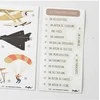 FERFLEX Magnetai - oro transportas (English version)