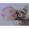 ZAZU Migdukas-čiulptuko laikiklis - Meškėnas Robin