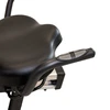 BH Fitness XTR exercise bike with backrest