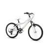 Dviratis Romet Jolene 20 KID 2 2025 pilkas-pink