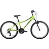 Dviratis Romet Rambler 24 2025 žalias-graphite